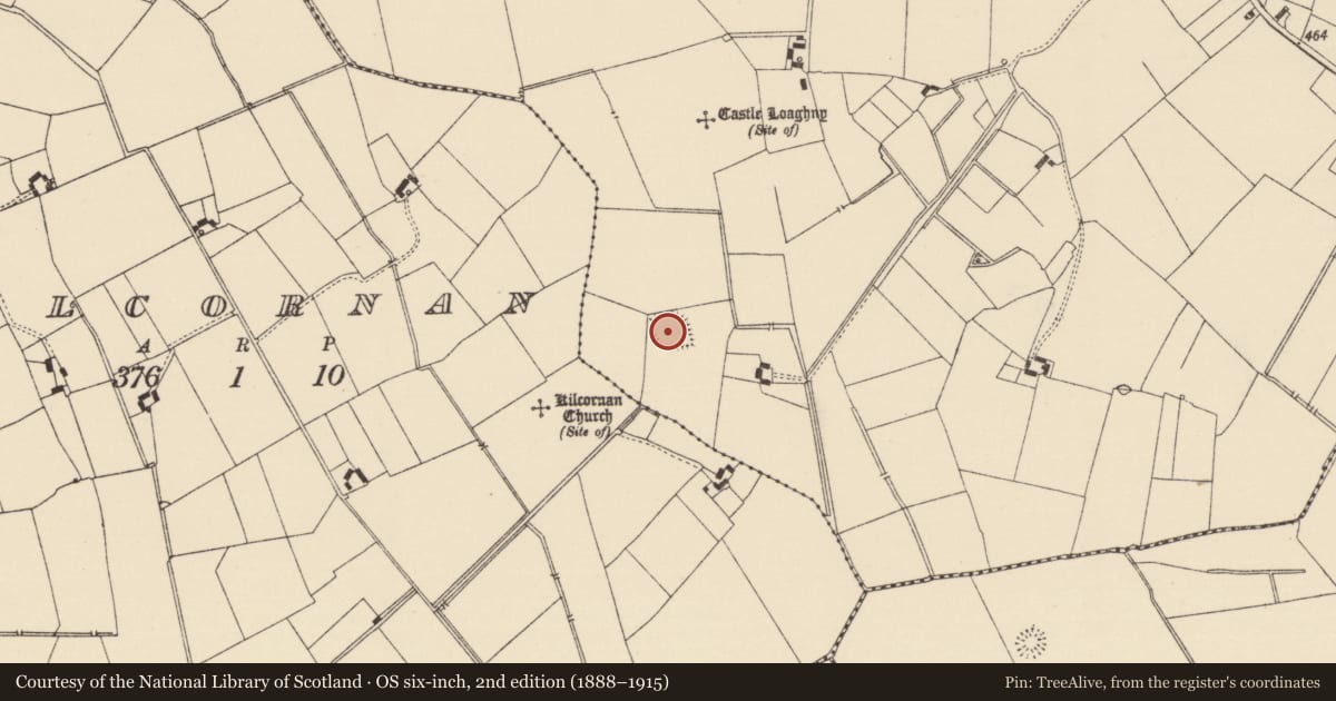 Ordnance Survey six-inch map, 2nd edition (1888–1915) covering the location of House - early medieval, Longstone (Kilcornan Par.), County Tipperary South, with a pin at the register's coordinates