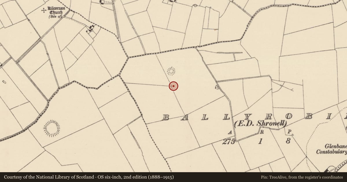 Ordnance Survey six-inch map, 2nd edition (1888–1915) covering the location of Field system, Ballyrobin (Kilcornan Par.), County Tipperary South, with a pin at the register's coordinates