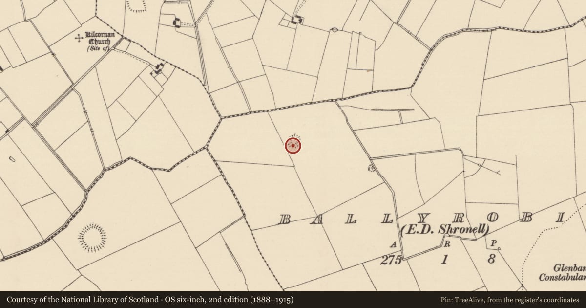 Ordnance Survey six-inch map, 2nd edition (1888–1915) covering the location of Enclosure, Ballyrobin (Kilcornan Par.), County Tipperary South, with a pin at the register's coordinates