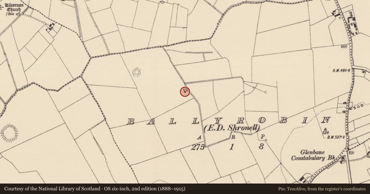 Ordnance Survey six-inch map, 2nd edition (1888–1915) covering the location of Platform, Ballyrobin (Kilcornan Par.), County Tipperary South, with a pin at the register's coordinates