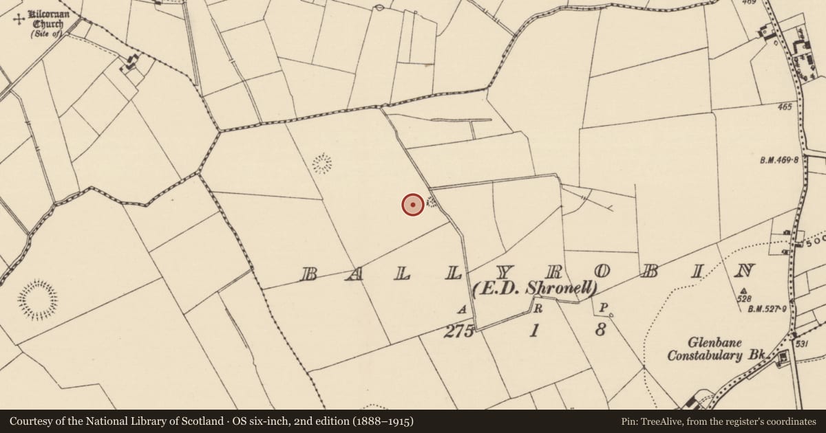 Ordnance Survey six-inch map, 2nd edition (1888–1915) covering the location of Enclosure, Ballyrobin (Kilcornan Par.), County Tipperary South, with a pin at the register's coordinates