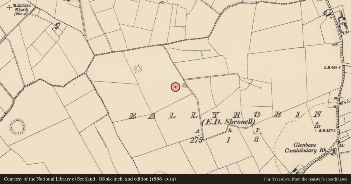 Ordnance Survey six-inch map, 2nd edition (1888–1915) covering the location of Barrow - ring-barrow, Ballyrobin (Kilcornan Par.), County Tipperary South, with a pin at the register's coordinates
