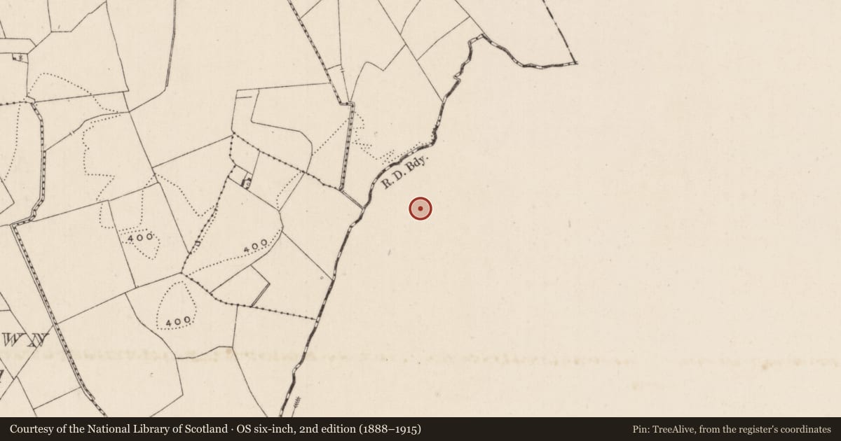 Ordnance Survey six-inch map, 2nd edition (1888–1915) covering the location of Barrow - ditch barrow, Ballynacree, County Tipperary South, with a pin at the register's coordinates