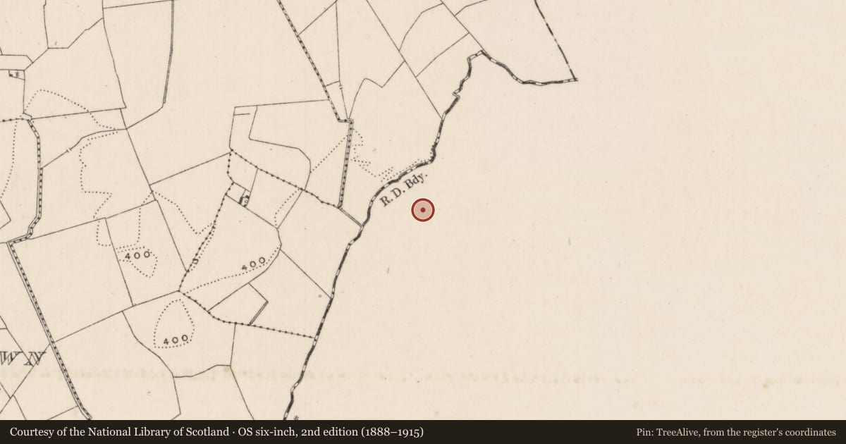 Ordnance Survey six-inch map, 2nd edition (1888–1915) covering the location of Barrow - ditch barrow, Ballynacree, County Tipperary South, with a pin at the register's coordinates