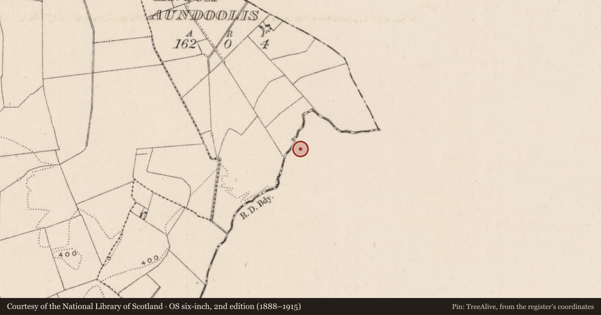 Ordnance Survey six-inch map, 2nd edition (1888–1915) covering the location of Ringfort - rath, Ballynacree, County Tipperary South, with a pin at the register's coordinates