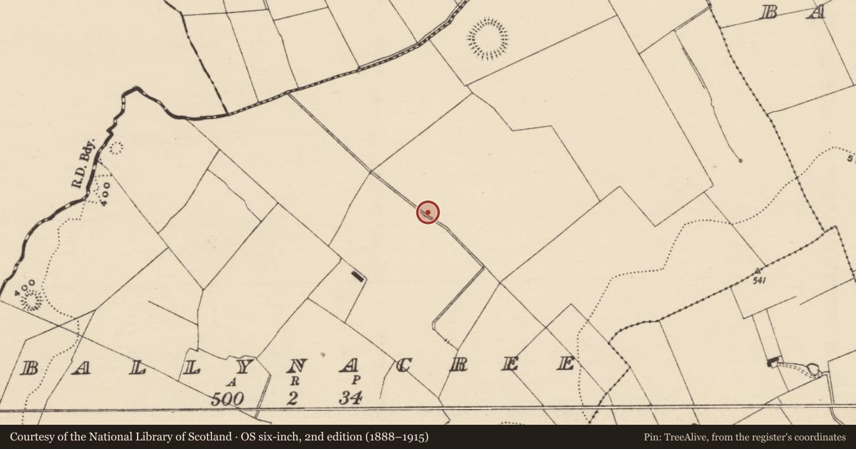 Ordnance Survey six-inch map, 2nd edition (1888–1915) covering the location of Ringfort - rath, Ballynacree, County Tipperary South, with a pin at the register's coordinates