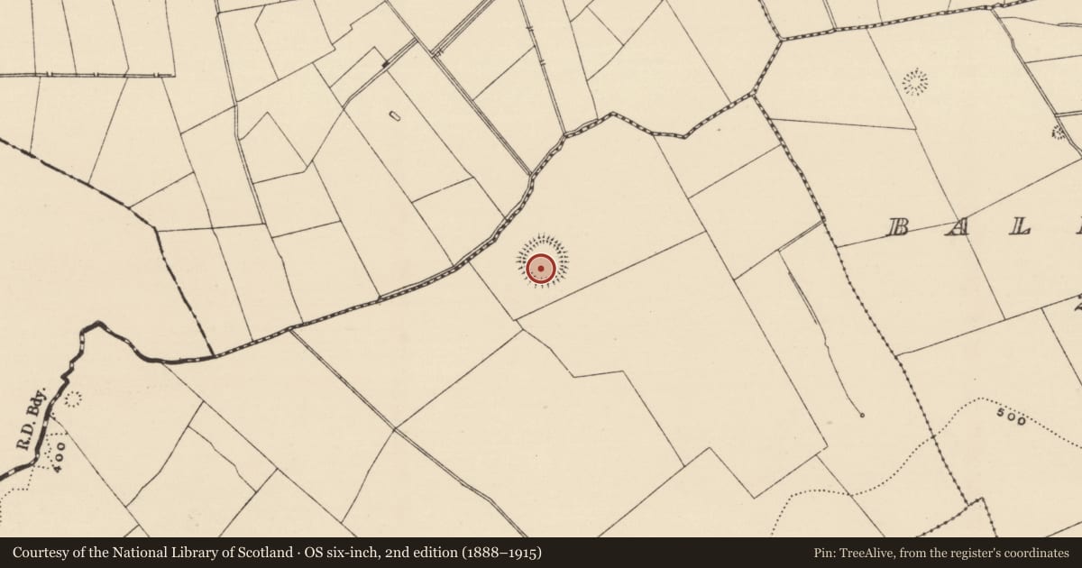 Ordnance Survey six-inch map, 2nd edition (1888–1915) covering the location of Barrow - pond barrow, Ballynacree, County Tipperary South, with a pin at the register's coordinates
