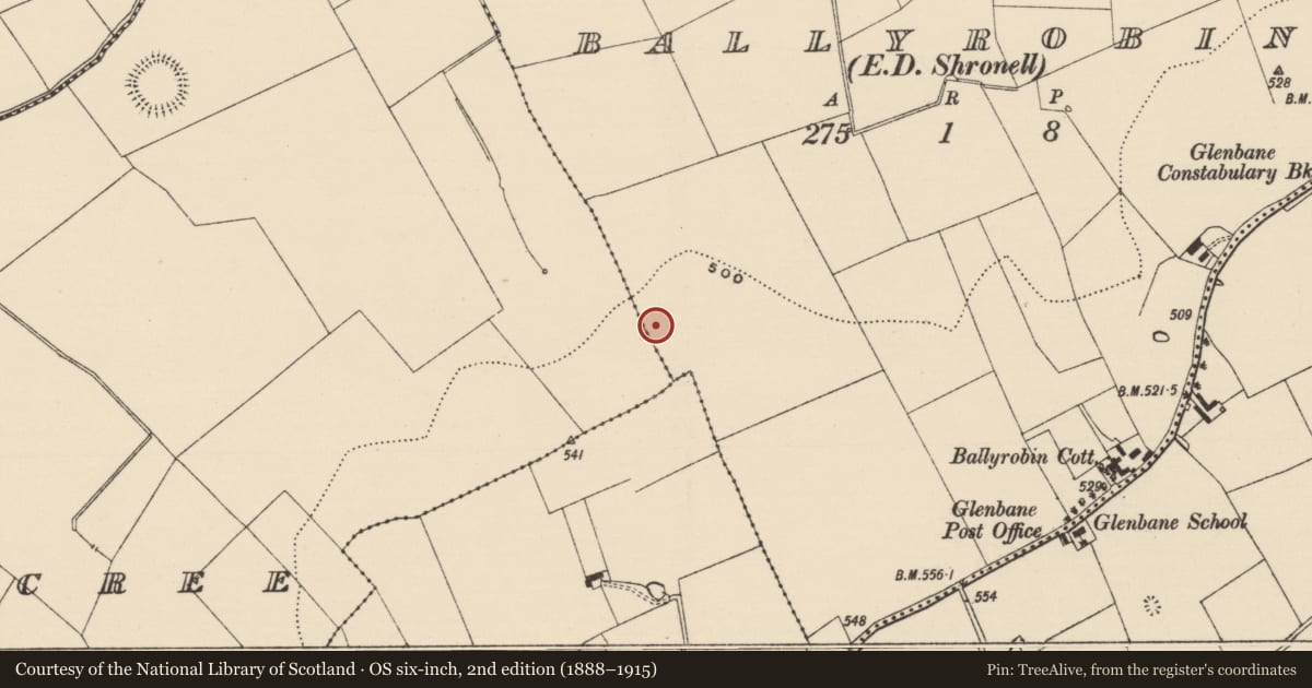 Ordnance Survey six-inch map, 2nd edition (1888–1915) covering the location of Barrow - mound barrow, Ballyrobin (Kilcornan Par.), County Tipperary South, with a pin at the register's coordinates