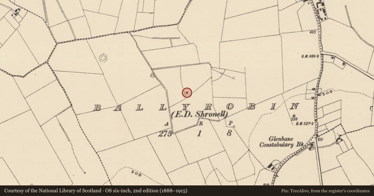 Ordnance Survey six-inch map, 2nd edition (1888–1915) covering the location of Moated site, Ballyrobin (Kilcornan Par.), County Tipperary South, with a pin at the register's coordinates
