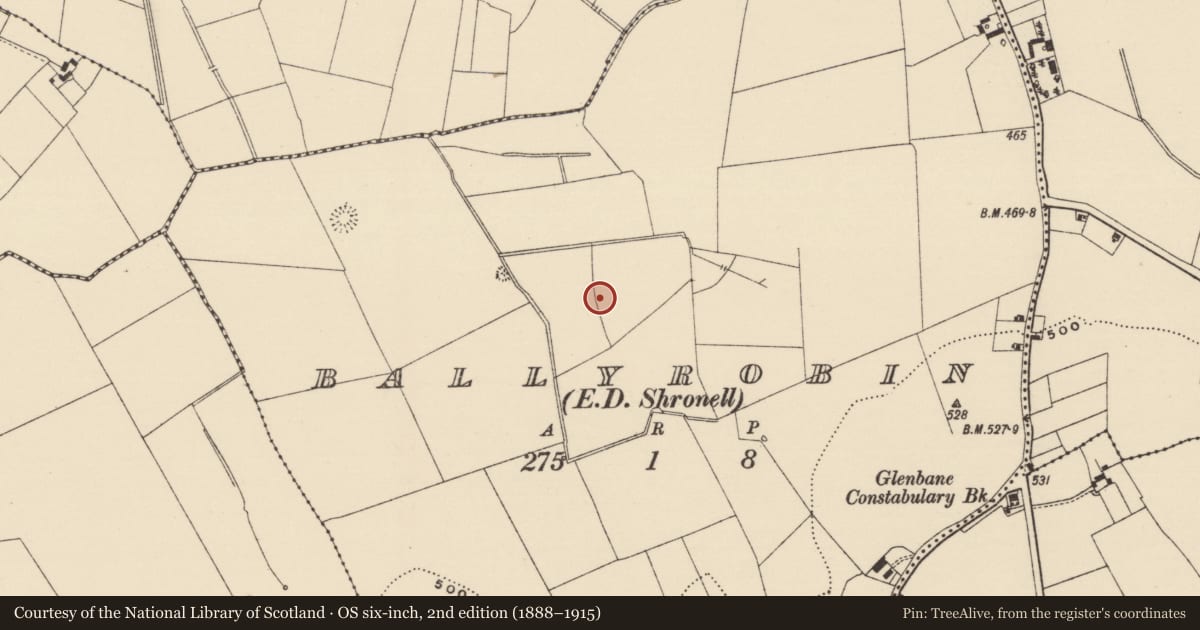 Ordnance Survey six-inch map, 2nd edition (1888–1915) covering the location of Enclosure, Ballyrobin (Kilcornan Par.), County Tipperary South, with a pin at the register's coordinates