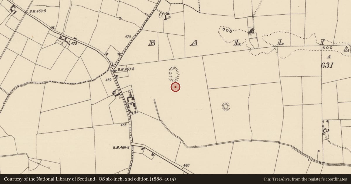 Ordnance Survey six-inch map, 2nd edition (1888–1915) covering the location of Enclosure, Ballinulty, County Tipperary South, with a pin at the register's coordinates