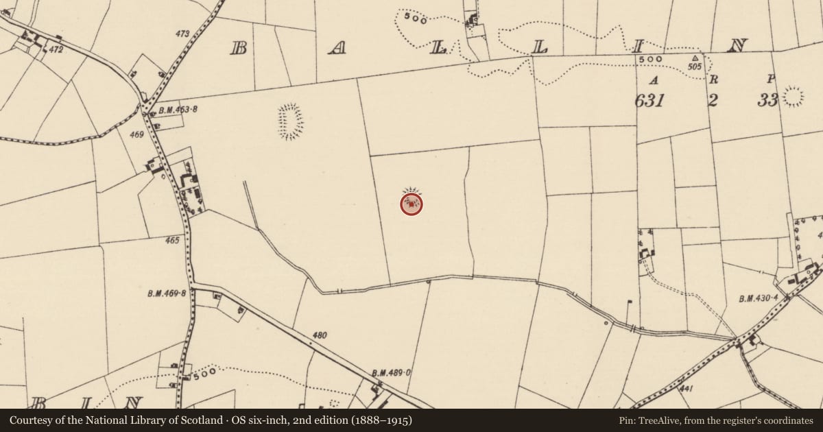 Ordnance Survey six-inch map, 2nd edition (1888–1915) covering the location of Ringfort - rath, Ballinulty, County Tipperary South, with a pin at the register's coordinates