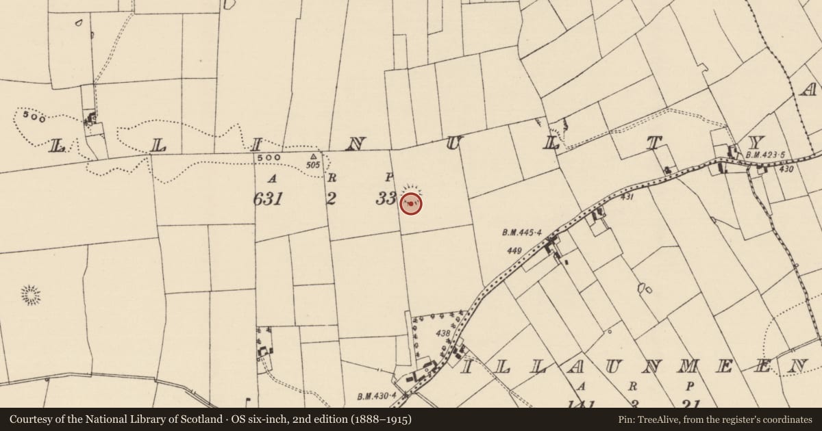 Ordnance Survey six-inch map, 2nd edition (1888–1915) covering the location of Ringfort - rath, Ballinulty, County Tipperary South, with a pin at the register's coordinates