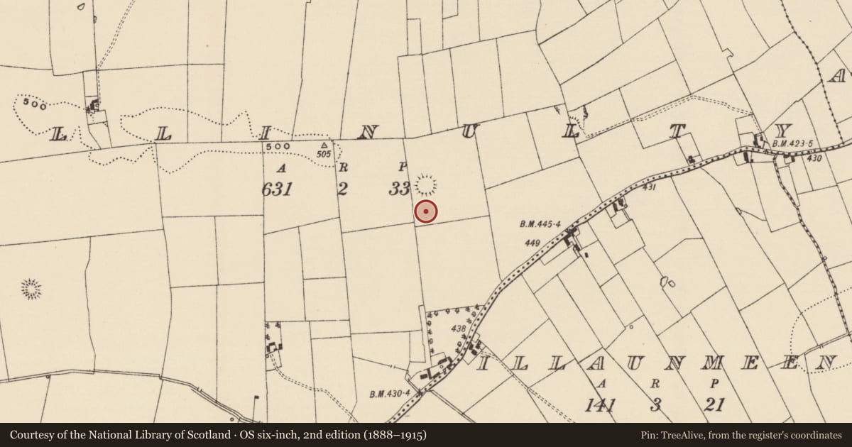 Ordnance Survey six-inch map, 2nd edition (1888–1915) covering the location of Enclosure, Ballinulty, County Tipperary South, with a pin at the register's coordinates