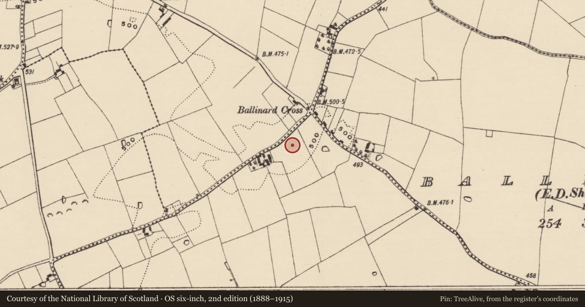 Ordnance Survey six-inch map, 2nd edition (1888–1915) covering the location of Enclosure, Ballinglanna, County Tipperary South, with a pin at the register's coordinates