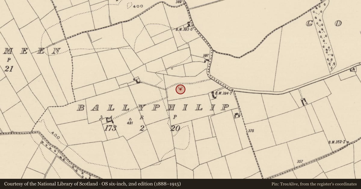 Ordnance Survey six-inch map, 2nd edition (1888–1915) covering the location of Barrow - ditch barrow, Ballyphilip (Solloghodmore Par.), County Tipperary South, with a pin at the register's coordinates