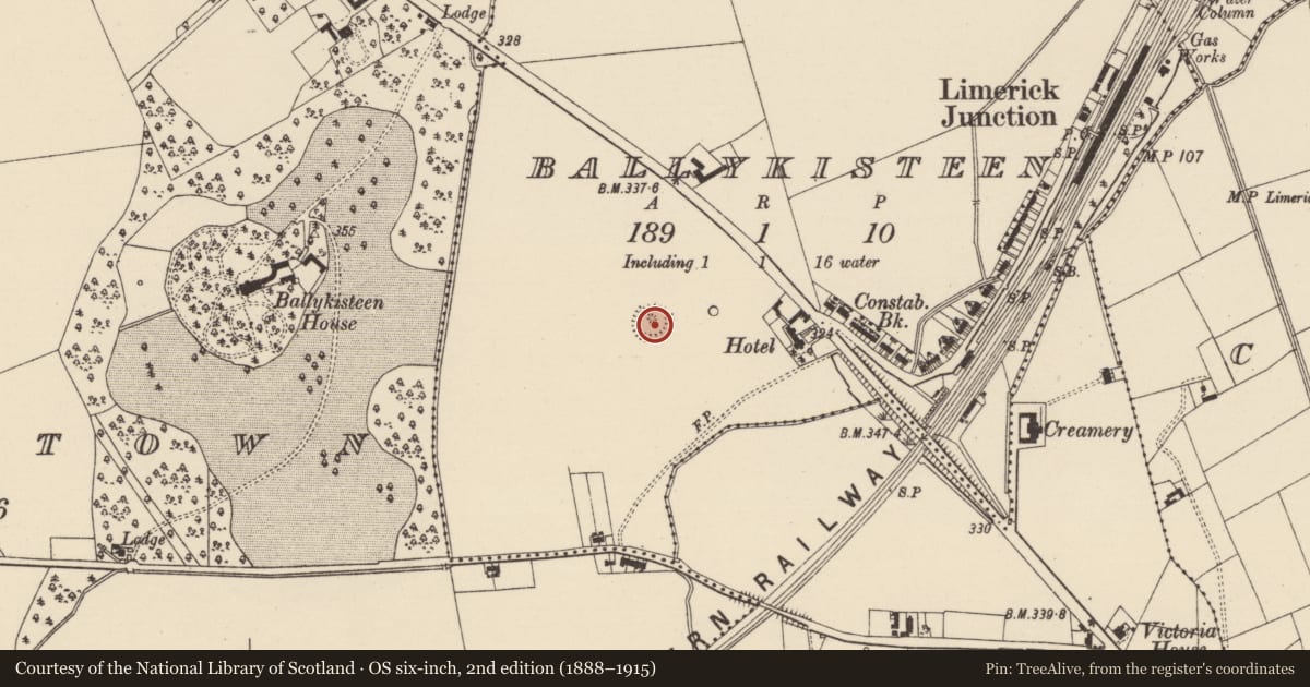Ordnance Survey six-inch map, 2nd edition (1888–1915) covering the location of Hut site, Ballykisteen, County Tipperary South, with a pin at the register's coordinates