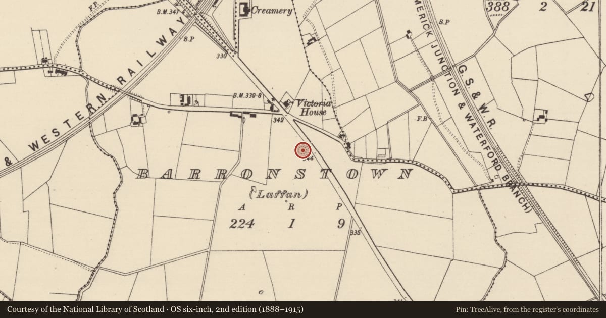 Ordnance Survey six-inch map, 2nd edition (1888–1915) covering the location of Barrow - ditch barrow, Barronstown (Laffan), County Tipperary South, with a pin at the register's coordinates