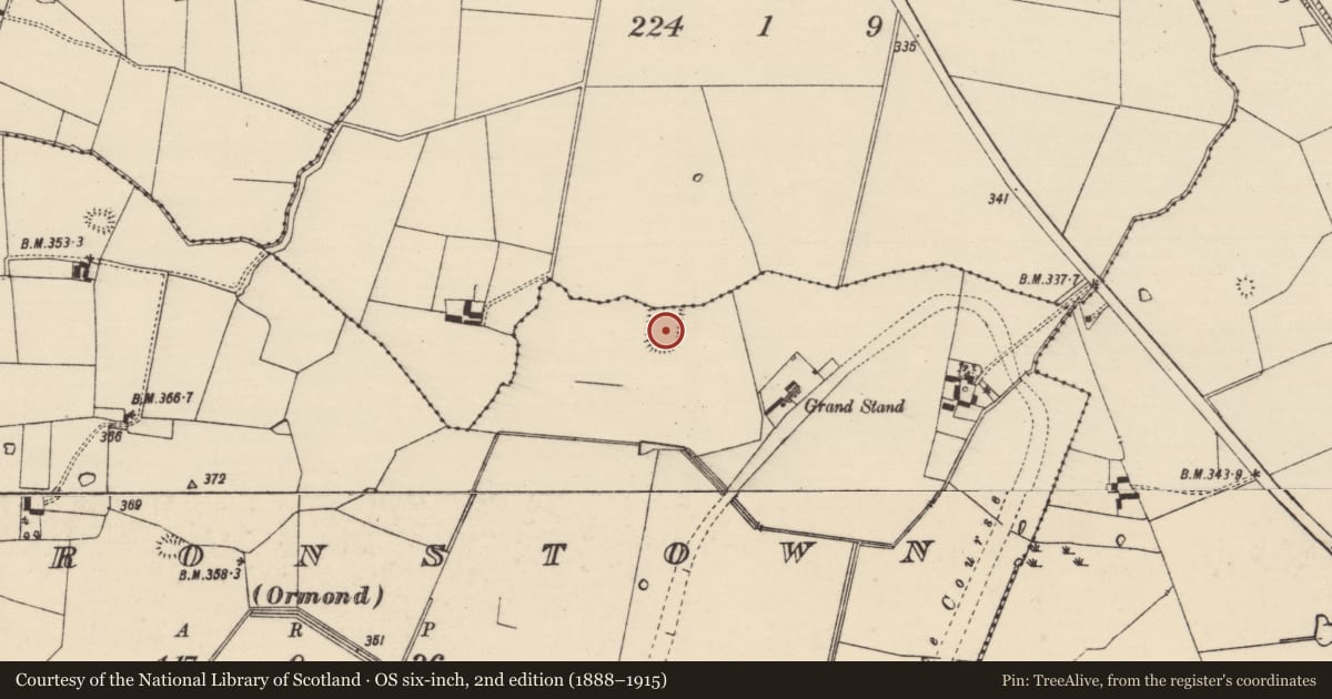 Ordnance Survey six-inch map, 2nd edition (1888–1915) covering the location of Moated site, County Tipperary South, with a pin at the register's coordinates
