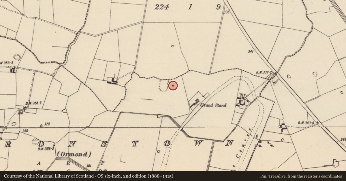 Ordnance Survey six-inch map, 2nd edition (1888–1915) covering the location of Enclosure, County Tipperary South, with a pin at the register's coordinates