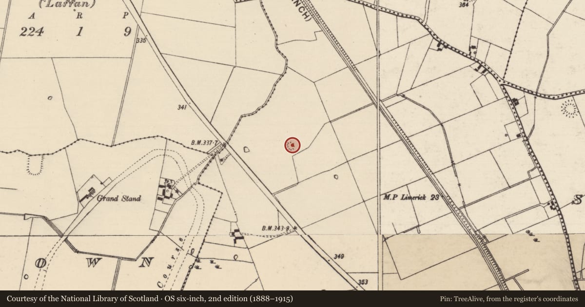 Ordnance Survey six-inch map, 2nd edition (1888–1915) covering the location of Enclosure, Bohercrow, County Tipperary South, with a pin at the register's coordinates