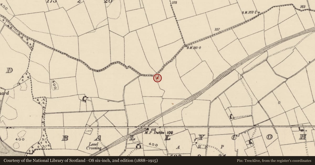 Ordnance Survey six-inch map, 2nd edition (1888–1915) covering the location of Barrow - ring-barrow, Ballycohy, Ballyphilip (Solloghodmore Par.), County Tipperary South, with a pin at the register's coordinates