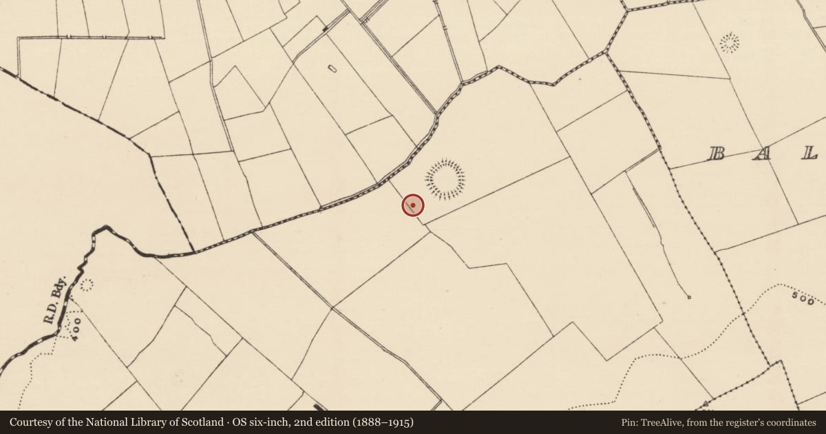 Ordnance Survey six-inch map, 2nd edition (1888–1915) covering the location of Barrow - ring-barrow, Ballynacree, County Tipperary South, with a pin at the register's coordinates