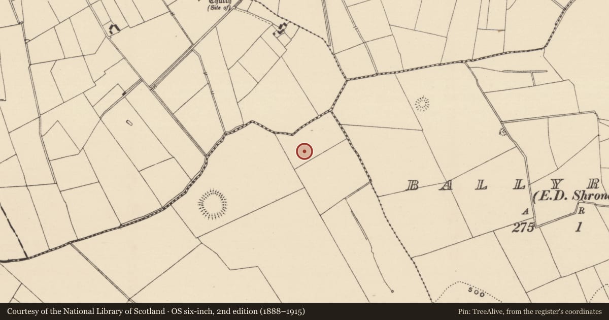 Ordnance Survey six-inch map, 2nd edition (1888–1915) covering the location of Barrow - unclassified, Ballynacree, County Tipperary South, with a pin at the register's coordinates