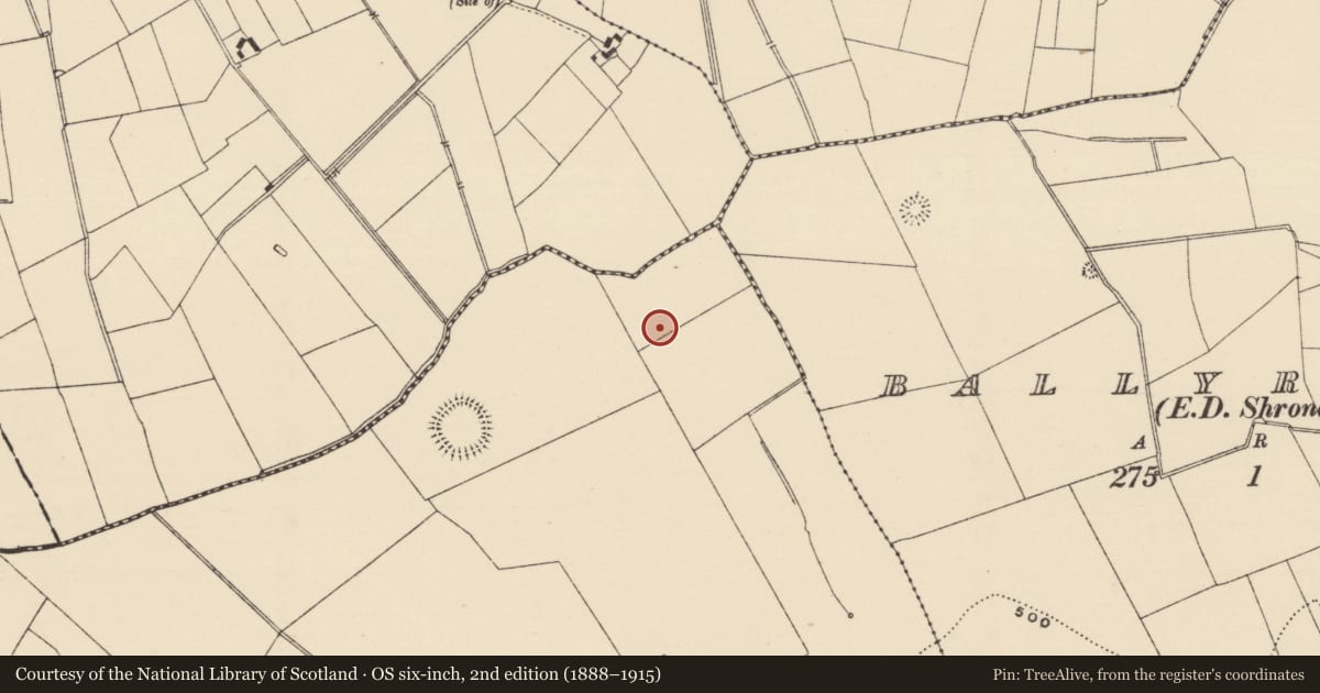 Ordnance Survey six-inch map, 2nd edition (1888–1915) covering the location of Barrow - unclassified, Ballynacree, County Tipperary South, with a pin at the register's coordinates