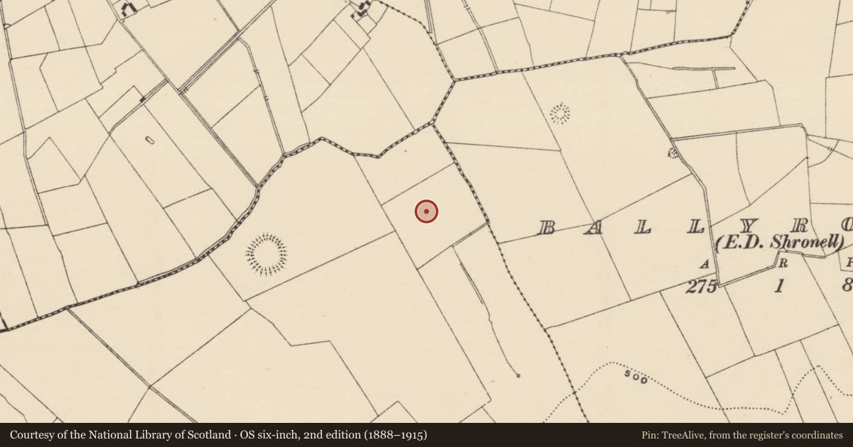 Ordnance Survey six-inch map, 2nd edition (1888–1915) covering the location of Barrow - ring-barrow, Ballynacree, County Tipperary South, with a pin at the register's coordinates