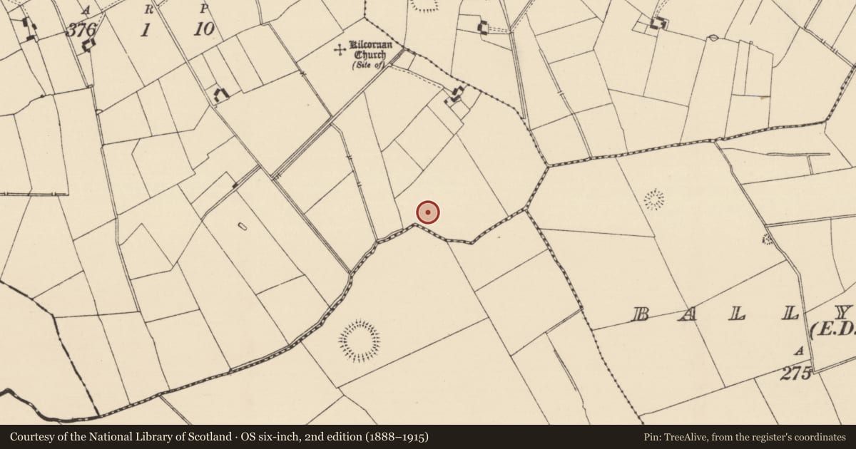Ordnance Survey six-inch map, 2nd edition (1888–1915) covering the location of Moated site, Kilcornan, County Tipperary South, with a pin at the register's coordinates
