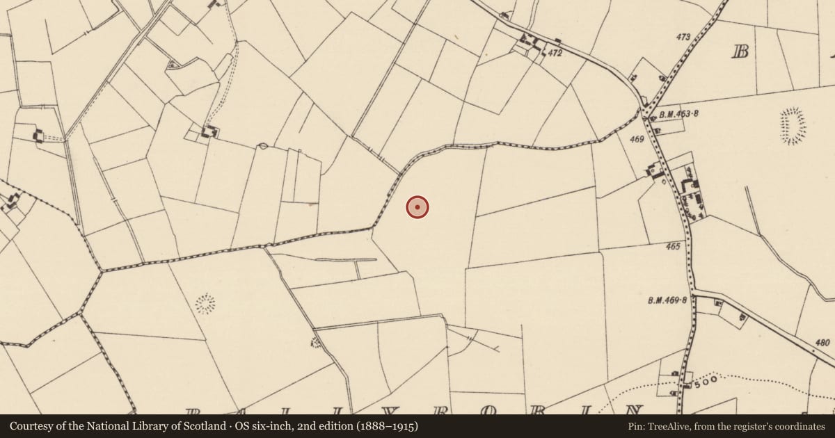 Ordnance Survey six-inch map, 2nd edition (1888–1915) covering the location of Barrow - unclassified, Ballyrobin (Kilcornan Par.), County Tipperary South, with a pin at the register's coordinates