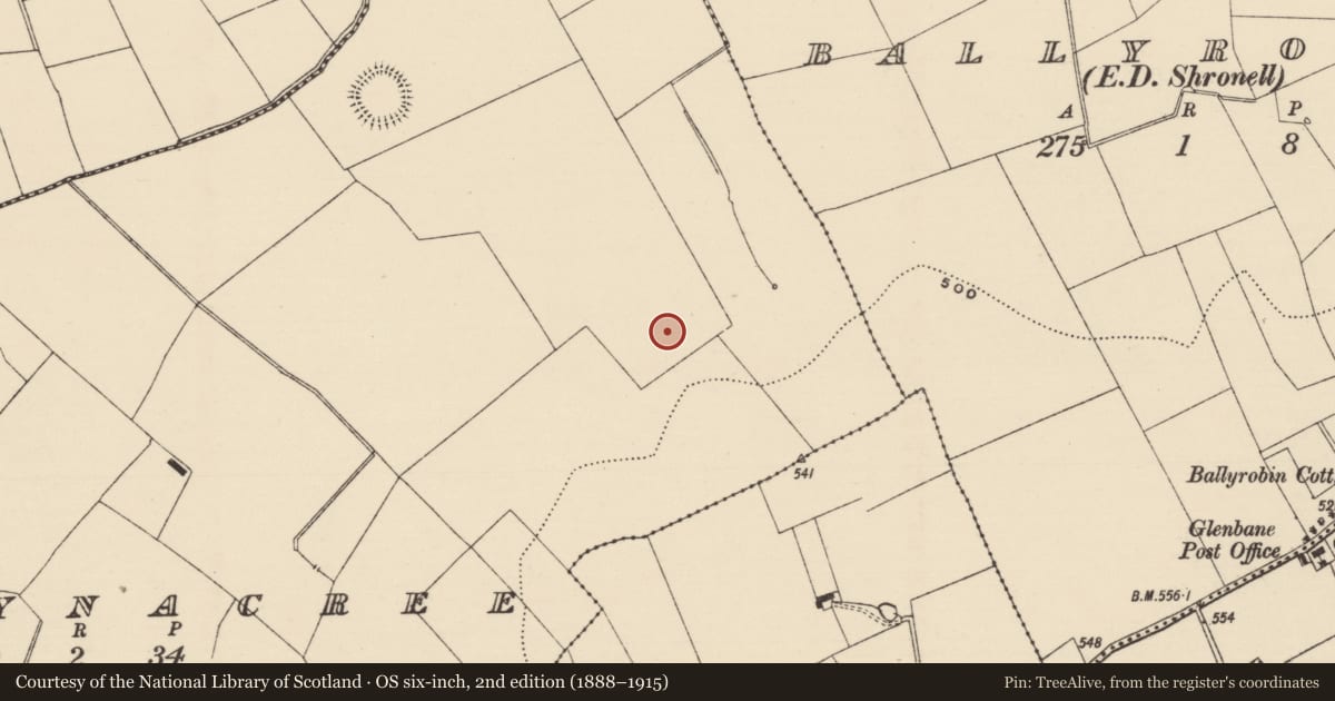 Ordnance Survey six-inch map, 2nd edition (1888–1915) covering the location of Enclosure, Ballynacree, County Tipperary South, with a pin at the register's coordinates