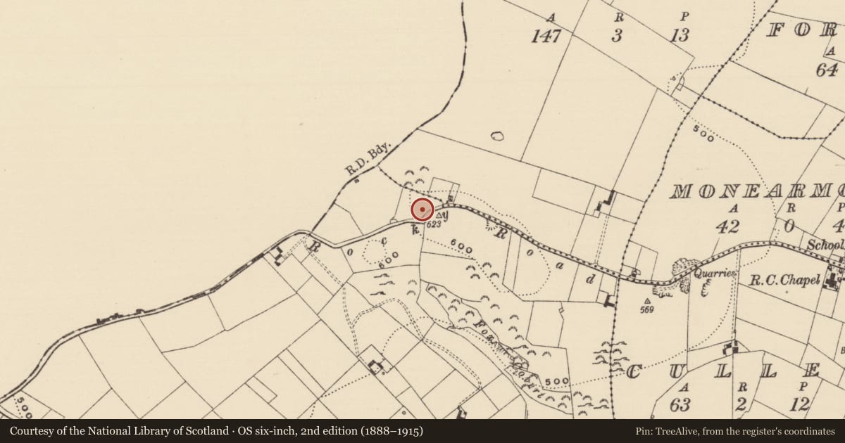 Ordnance Survey six-inch map, 2nd edition (1888–1915) covering the location of Standing stone, Longstone (Cullen Par.), County Tipperary South, with a pin at the register's coordinates