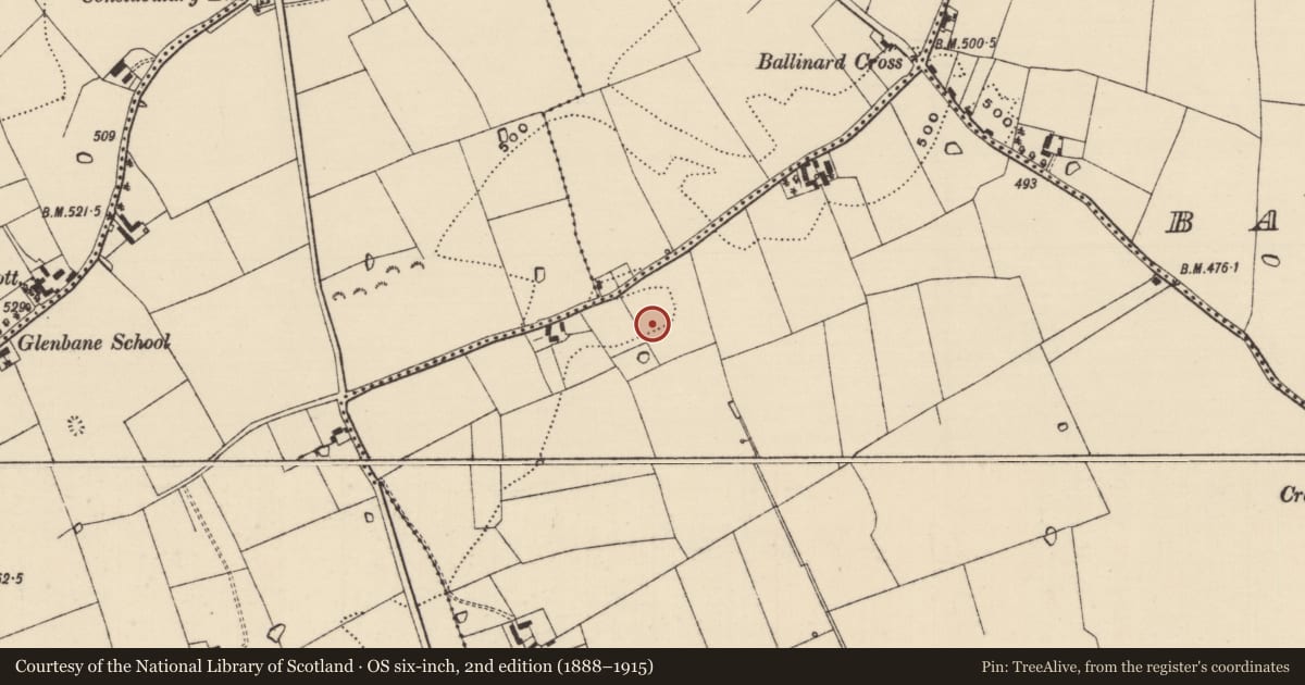 Ordnance Survey six-inch map, 2nd edition (1888–1915) covering the location of Moated site, Ballinglanna, County Tipperary South, with a pin at the register's coordinates