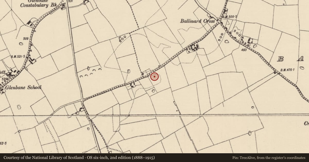Ordnance Survey six-inch map, 2nd edition (1888–1915) covering the location of Enclosure, Ballinglanna, County Tipperary South, with a pin at the register's coordinates