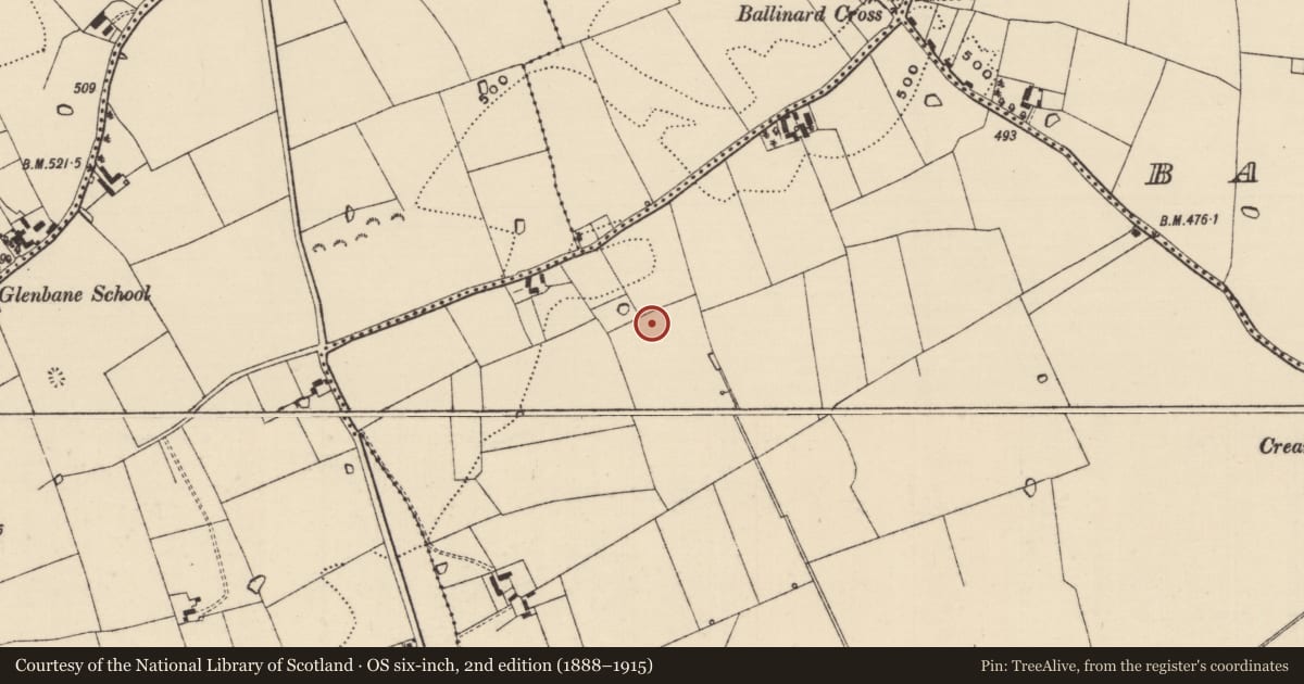Ordnance Survey six-inch map, 2nd edition (1888–1915) covering the location of Enclosure, Ballinglanna, County Tipperary South, with a pin at the register's coordinates