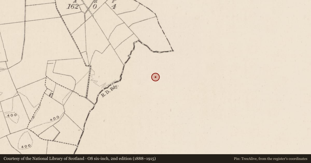 Ordnance Survey six-inch map, 2nd edition (1888–1915) covering the location of Barrow - ring-barrow, Ballynacree, County Tipperary South, with a pin at the register's coordinates