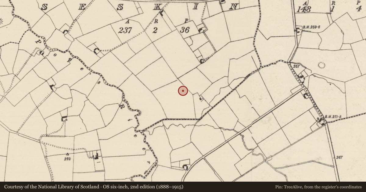 Ordnance Survey six-inch map, 2nd edition (1888–1915) covering the location of Barrow - embanked barrow, Seskin (Solloghodmore Par.), County Tipperary South, with a pin at the register's coordinates