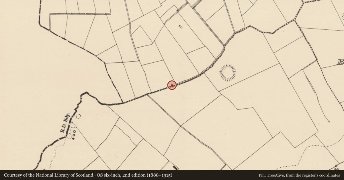 Ordnance Survey six-inch map, 2nd edition (1888–1915) covering the location of Barrow - unclassified, Kilcornan, County Tipperary South, with a pin at the register's coordinates
