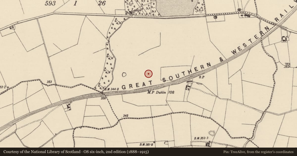 Ordnance Survey six-inch map, 2nd edition (1888–1915) covering the location of Enclosure, Gotinstown, County Tipperary South, with a pin at the register's coordinates