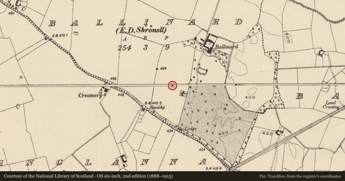 Ordnance Survey six-inch map, 2nd edition (1888–1915) covering the location of Enclosure, Ballinard (Shronell Par.), County Tipperary South, with a pin at the register's coordinates