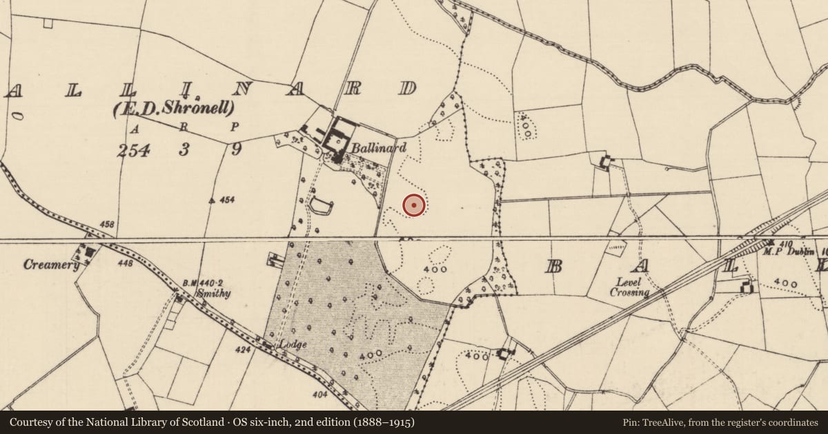 Ordnance Survey six-inch map, 2nd edition (1888–1915) covering the location of Barrow - ring-barrow, Ballinard (Shronell Par.), County Tipperary South, with a pin at the register's coordinates