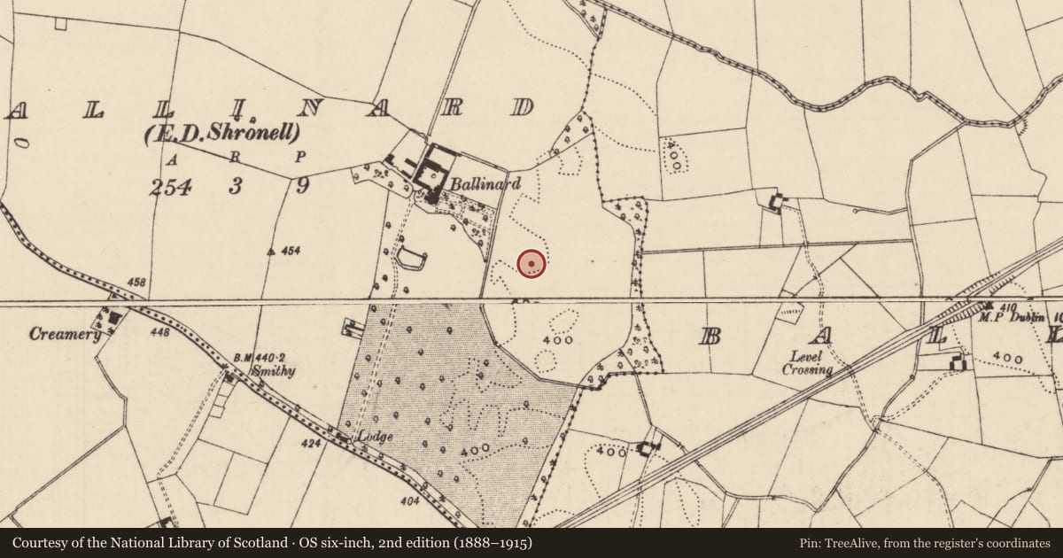 Ordnance Survey six-inch map, 2nd edition (1888–1915) covering the location of Barrow - ring-barrow, Ballinard (Shronell Par.), County Tipperary South, with a pin at the register's coordinates