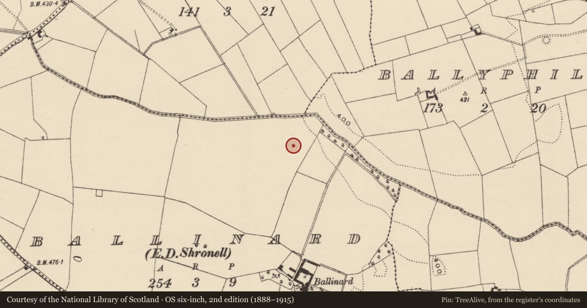 Ordnance Survey six-inch map, 2nd edition (1888–1915) covering the location of Barrow - ring-barrow, Ballinard (Shronell Par.), County Tipperary South, with a pin at the register's coordinates