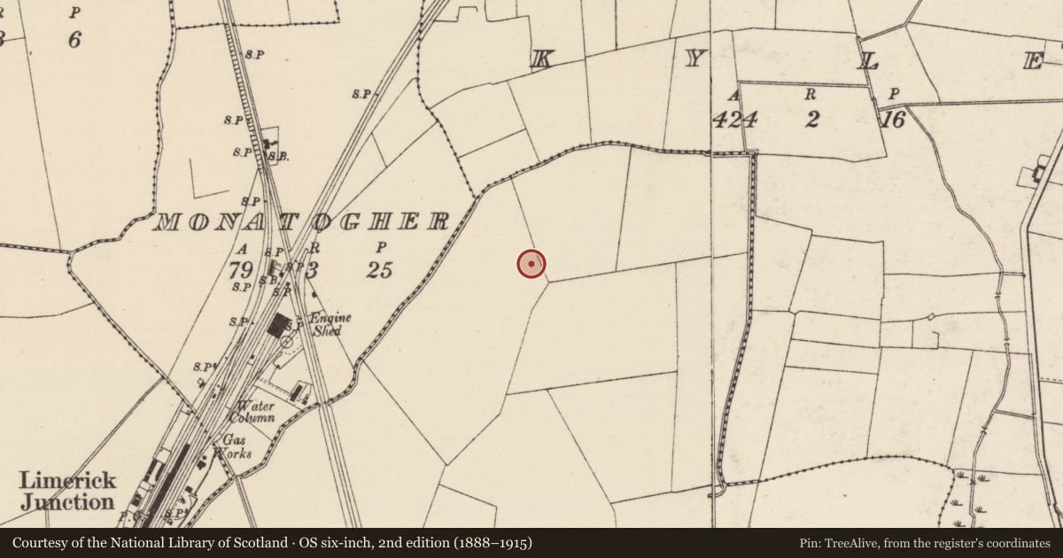 Ordnance Survey six-inch map, 2nd edition (1888–1915) covering the location of Barrow - ditch barrow, Carron (Tipperary Par.), County Tipperary South, with a pin at the register's coordinates