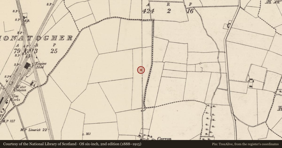 Ordnance Survey six-inch map, 2nd edition (1888–1915) covering the location of Barrow - ditch barrow, Carron (Tipperary Par.), County Tipperary South, with a pin at the register's coordinates