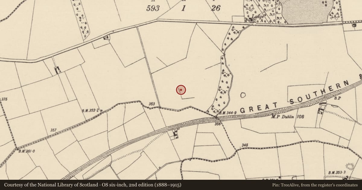 Ordnance Survey six-inch map, 2nd edition (1888–1915) covering the location of Barrow - ditch barrow, Gotinstown, County Tipperary South, with a pin at the register's coordinates