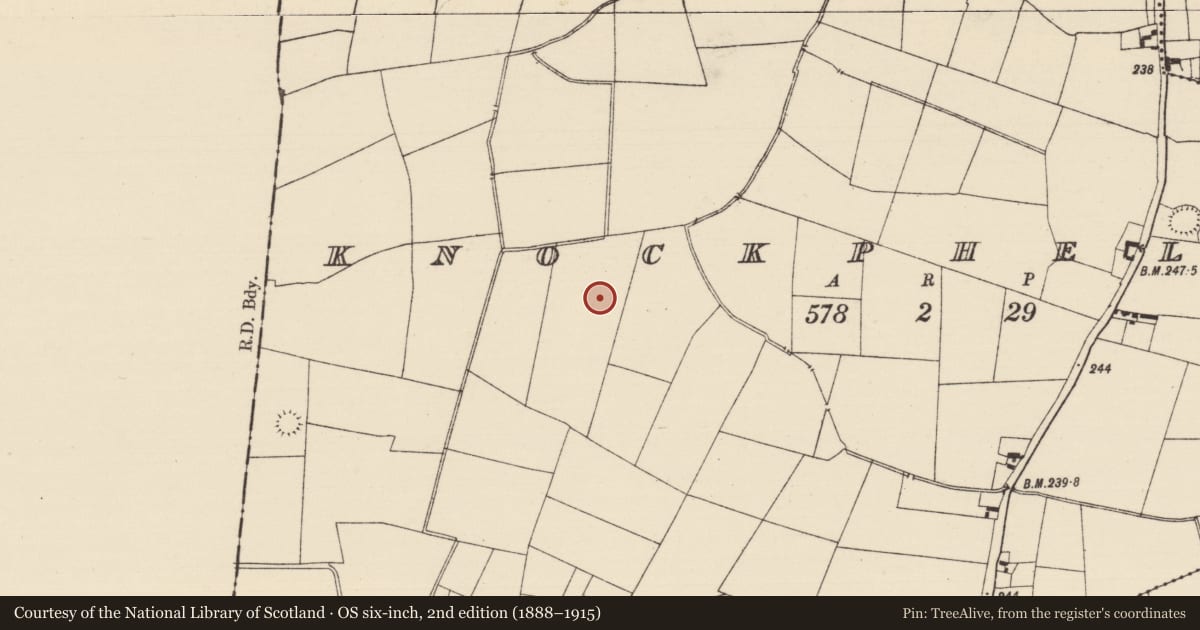 Ordnance Survey six-inch map, 2nd edition (1888–1915) covering the location of Barrow - ditch barrow, Knockphelagh, County Tipperary South, with a pin at the register's coordinates