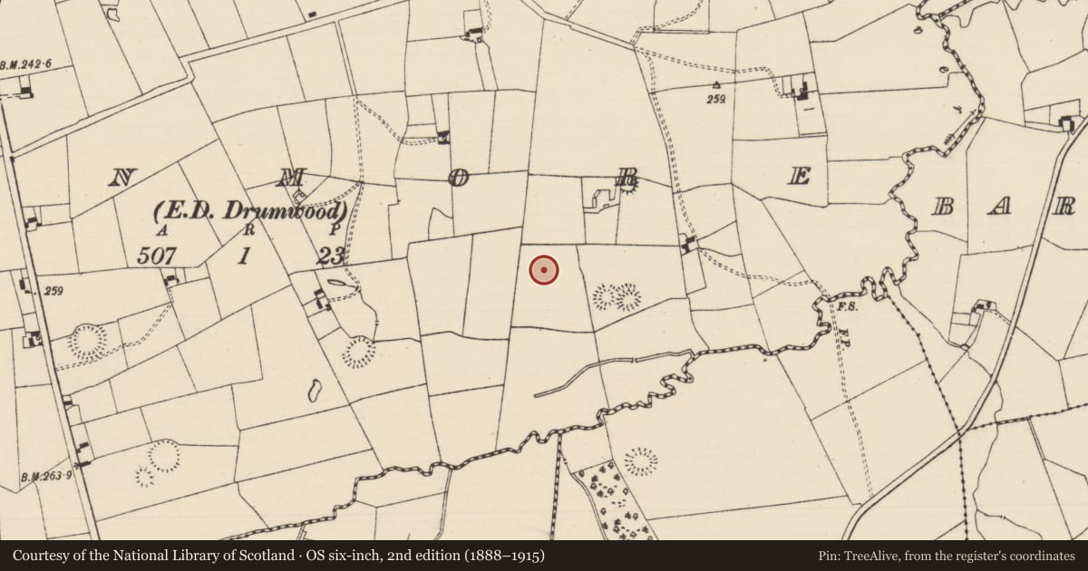 Ordnance Survey six-inch map, 2nd edition (1888–1915) covering the location of Enclosure, Moanmore (Solloghodmore Par.), County Tipperary South, with a pin at the register's coordinates